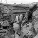 Trumpet 1: Earth - World War I